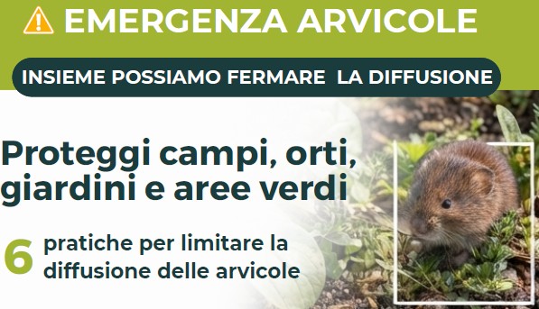 Arvicole